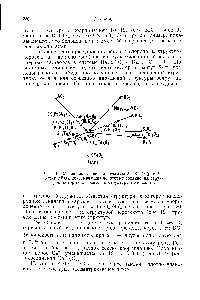 Рис. 16. Увеличенная часть диаграммы А—В—О (рис. 14) вокруг АВОз, показывающая <a href="/info/1055661">некоторые соединения</a>, структуры которых относятся к структуре перовскита.
