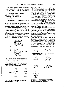 Рис. 27-2. Г <a href="/info/1408983">лавные</a> пиримидиновые и пуриновые основания в ДНК и РНК.
