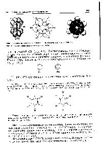 Рис. 132. <a href="/info/20428">Схема перекрывания</a> я-электровных облаков в <a href="/info/36062">молекуле бензола</a>. Рис. 133. Сегментовая <a href="/info/82245">модель молекулы</a> бензола.