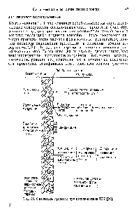 Рис. 38. <a href="/info/17846">Физические процессы</a> при воспламенении ТРТ [99].