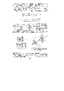 Рис. 38. <a href="/info/1676420">Перекрывание гибридной</a> орбиты центрального атома с р-орбитой адденда а) -<a href="/info/68163">гибридная орбита</a> б)/ -орбита адденда
