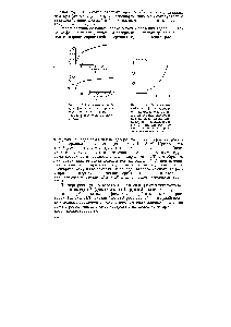 Рис. 14.2. <a href="/info/3644">Изотермы адсорбции</a> фенола из растворов в воде на саже (а) и из растворов в н-гептане на силикагеле (б)