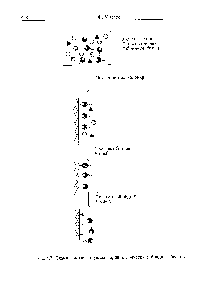 Рис. 4.7. Схема, <a href="/info/1722351">иллюстрирующая принцип</a> очистки гибридных белков.