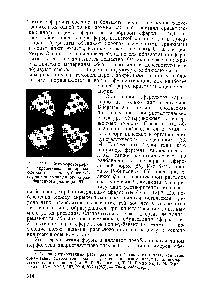 Рис. 112. Микрофотография в скрещенных поляроидах сферолита поли- -бензил- -глутамата, выращенного из разбавленного раствора [86].