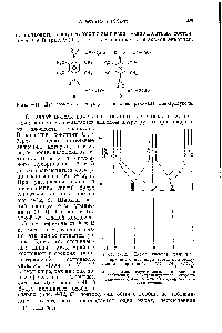 Рис. 9-11. Две возможные структуры для <a href="/info/31048">анион-радикала</a> динитродурола.