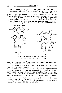 Рис. 5. <a href="/info/1416501">Структурные формулы хлорофилла</a> Л —по А. Штолю (1938) — по Г. Фишеру (1939)