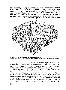 Рис. 5. <a href="/info/196239">Мозаичная модель</a> клеточной мембраны 