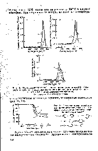 Рис. 13. Термогравиметрический анализ полипиромеллитимидов (<a href="/info/128697">скорость нагревания</a> 4 град мин) на основе л-фениленднамина (а), бензидина (б) и 4.4 -диамнноднфенилового эфира (в) 