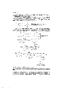 Рис. 21-2. <a href="/info/1897001">Механизм синтеза</a> пиридинов по Ганчу.