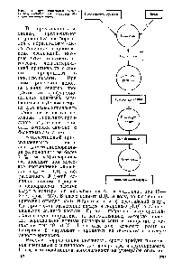 Рис. 19.1. Принципиальная <a href="/info/956962">схема синтеза силоксановых каучуков</a> методом полимеризации.