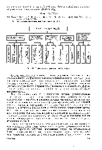 Рис. 41. <a href="/info/1832772">Схема классификации</a> норм труда