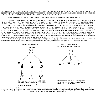 Рис. 12-12. <a href="/info/1384686">Различные клетки</a>-мишени по-разному реагируют на тестостерон, хотя содержат одинаковые <a href="/info/327089">рецепторные белки</a> При синдроме <a href="/info/510678">тестикулярною феминизации</a> мутация в одном-единственном гене, изменяющая <a href="/info/1277281">рецептор тестостерона</a>, приводит к тому, что все клетки-