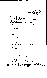Рис. 8.7. Спектры ЯМР С ПФ гидрохлорида продигиозина.