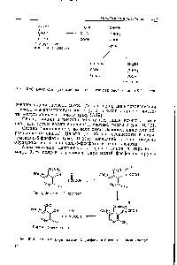 Рис. 16.21. Участие пиридоксамин-5-фосфата в биосинтезе аминокислот.