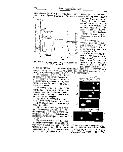 Рис. 247. <a href="/info/190748">Разделение смеси</a> рибонуклеотидов на анионите дауэкс-2.