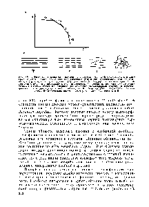 Рис. XV. 1. <a href="/info/2787">Фазовая диаграмма</a> <a href="/info/176836">полимерной системы</a>, могущей существовать в изотропном (Из), нематическом (Н), смектическом (См) и кристаллическом (Кр) состояниях (а) и схемы этих состояний (6) для <a href="/info/1672179">иизкомолекулярных</a> <a href="/info/6108">жидких кристаллов</a> эти схемы обычно изображают в аксонометрической проекции, но существенно отличалась бы только схема Из впервые для описания <a href="/info/6357">мезоморфных состояний</a> <a href="/info/117695">жесткоцепных полимеров</a> такую <a href="/info/1472997">схему использовал</a> Ди Марцио 1244) разумеется, на его схеме Из получалось просто <a href="/info/269299">путем увеличения</a> беспорядка в Н