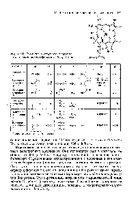 Рис. 12.11. Различия в <a href="/info/711577">структуре хлорофилла</a> а и бактериохлорофиллов а, Ь, с, due.