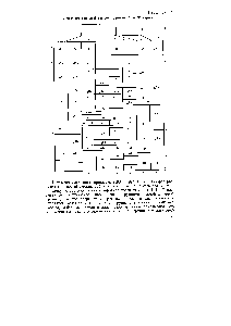 Таблица 1.5 Вариант периодической системы <a href="/info/398241">элем</a>ёнТов С. А. Щукарева