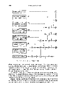Рис. 2-12. <a href="/info/25483">Схема синтеза</a> Меррифилда.