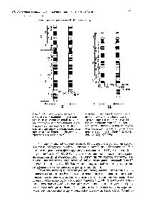 Рис. 18.22. Локализация онкогена с-тус и <a href="/info/1392461">генов вариабельных</a> и кон-стантньк участков <a href="/info/104561">тяжелой цепи иммуноглобулинов</a> в нормальных и дефектных хромосомах 8 и 14. Дефектные хромосомы обнаруживаются при <a href="/info/1350540">лимфоме Беркитта</a>. Дефектная хромосома 8 утрачивает с-тус