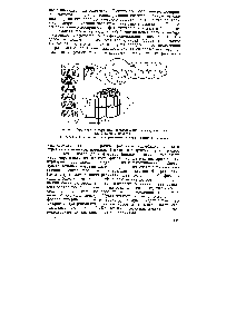 Рис. 45. <a href="/info/190027">Структурные единицы</a>, составляющие палочку сетчатки (по Уолкену, 1963 г.) 