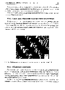 Рис. 4.9. Фибриллярные кристаллы <a href="/info/145652">изотактического поли</a>-4-метилпентена-1 [9]