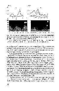 Рис. 24. <a href="/info/1649980">Динамика содержания</a> хлорофилла в <a href="/info/1329000">различных размерных</a> фракциях фитопланктона Рыбинского водохранилища в апреле-октябре 1993 г. (а, в) и июне-августе 1997 г. (б, г) 
