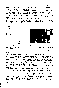 Рис. У.7. <a href="/info/95688">Вязкостные характеристики</a> бимодальной дисперсии полиметилметакрилата в бензине (78,4% <a href="/info/2804">твердых веществ</a>), измеренные на реогониометре Вайсенберга.
