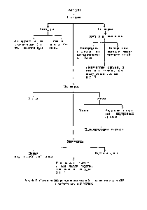 Рис. 10-9. Схема дифференцировки тканой в <a href="/info/765278">развитии зародыша</a> позвоночных животных.