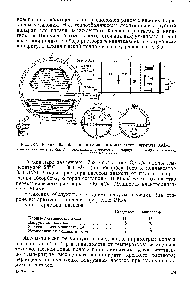 Рис. 147. <a href="/info/214191">Верхний барабан</a> (кипятильник и конденсатор) агрегата ХАБ-3 