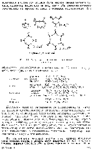 Рис. 13. <a href="/info/1475872">Структуры некоторых</a> силикатных анионов.