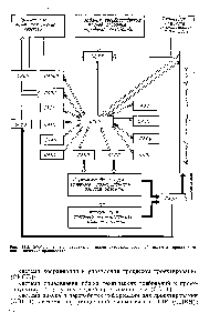 Рис. 111-2. Обобщенная функциональная схема автоматизированной системы проектирования химических производств.