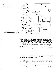 Рис. 27. <a href="/info/169635">Комбинация метода</a> Эдмана и <a href="/info/6125">масс-спектрометрии</a> в <a href="/info/140658">анализе структуры</a> белка.