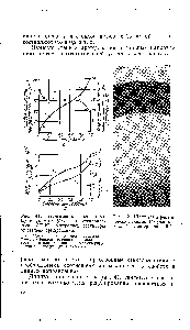 Рис. 42. Шлиф (а) и рентгеновский снимок (б) участков <a href="/info/874725">деталей</a> из материала П-5-2.