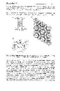 Рис. 1.9. <a href="/info/502406">Включение посторонних</a> молекул в кристаллы а) М1(СЫ)2-К Нз-пСбНб б) <a href="/info/512222">комплекс мочевины</a> с углеводородом в) Р-хинол.