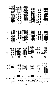 Рис. 20.7. Идиограмма кариотипа человека, получаемая с применением <a href="/info/1894249">метода дифференциальной окраски</a>, р и ц — плечи хромосом. Цифры около хромосом (I—4) —участки плеч, К, С, Р — полосы, наблюдаемые при <a href="/info/1717636">окраске различными</a> способами