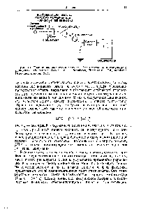 Рис. 1.1. <a href="/info/24285">Принципиальная схема</a> методов флеш-фотолиза и импульсного