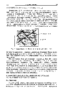 Рис. 9. <a href="/info/376711">Схематическое изображение</a> матрицы ультрогелей АсА.