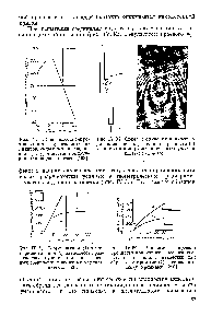 Рис. IV.35. Теоретическая ) и экспериментальная (2) зависимости разрушающего усилпя при <a href="/info/785816">сдвиге клеевых соединений</a> внахлестку от длины нахлеста [59].