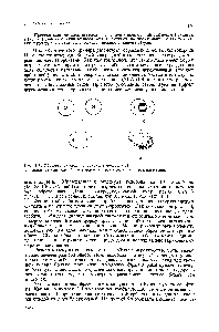 Рис. 1.3. <a href="/info/7225">Образование связи</a> в молекуле водорода Н .
