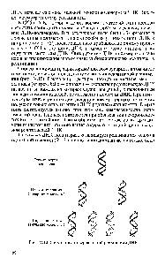 Рис. IV. 10. Схема полуконсервативной репликации ДНК