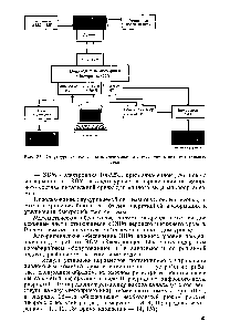 Рис. 33. Структура системы автоматизированного проектирования питательных