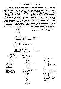 Рис. 16-21. Вторичный путь превращения глюкозы - через иОР-глюкуроновую кислоту.