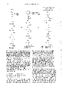 Рис. 6-9. Схема <a href="/info/567146">определения аминокислотной последовательности</a> <a href="/info/1689331">пептида путем</a> его расщепления по Эдману. Исходный тетрапептид вступает в реакцию с фенилизотиоцианатом, в результате чего образуется фенилтиокарбамоиль-ное производное аминоконцевого остатка. Этот <a href="/info/1537956">остаток отщепляют</a> от пептида без разрыва <a href="/info/1891239">других пептидных связей</a> и получают в виде фенил-тиогидантоинового производного, которое можно идентифицировать <a href="/info/429640">хроматографическим способом</a>. Оставшийся трипептид вновь проводят через тот же <a href="/info/52726">цикл реакций</a>, что позволяет идентифицировать второй остаток. Эти операции повторяют до тех пор, пока не будут идентифицированы все остатки.