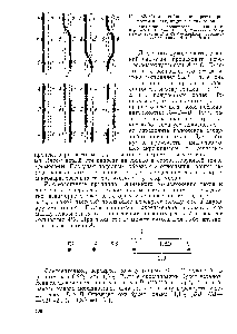 Рис. 38. <a href="/info/72524">Схема двойного</a> перекреста хромосом и находящихся в них генов 