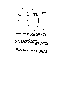 Рис. 6 9. Схема пробоподготовки при определении суперэкотоксмсаитов в воздухе и газовых выбросах