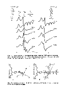 Рис. 14. <a href="/info/199469">Схема движения</a> гибкой (а) и жесткой (б) боковой метки в спин-мв-ченом поливинилпиридине
