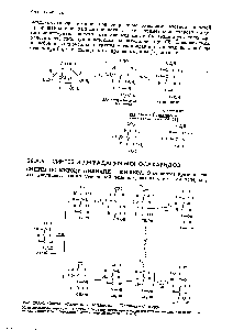 Рис. 26А-6. Синтез в-глюкозы и В-маннозы по Килиани—Фишеру.