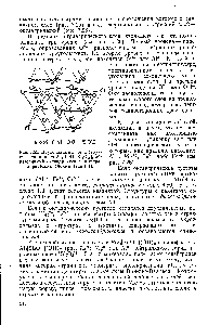 Рис. 7.23. Двухслойный пакет в структуре каолинита А14[(0Н)85140ю], <a href="/info/1541328">образованный октаэдрическим</a> и тетраэдрическим слоями (тип 1 1).