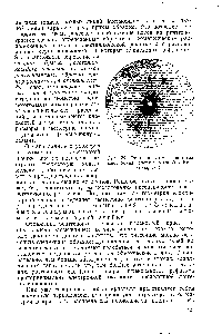 Рис. 29. <a href="/info/701848">Рентгенограмма кристалла</a> миоглобина спермы кита (по Кен-дрью, 1961).